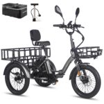 Fafrees F20 Mate E-Bike Dreirad Erwachsene 20 Zoll 48V 23,45Ah 65Nm Motor 180kg COC-Zertifiziert