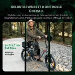 Fafrees F20 E-Bike Klapprad 20 Zoll Fatbike 18AH Akku 250W Motor StVO 140kg Belastbar – Bild 4